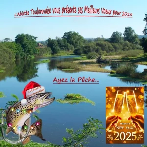 Vœux 2025