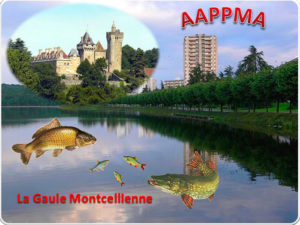 Montceau : La Gaule Montcellienne