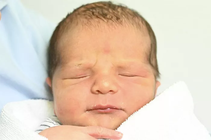 bebe-ernest-1003255