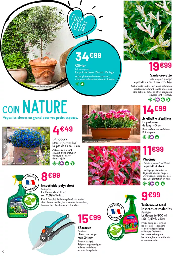 villa-0703257