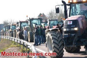 Autunois : castors protégés, éleveurs ignorés !