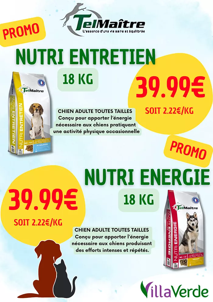 animal-villaverde-2904252
