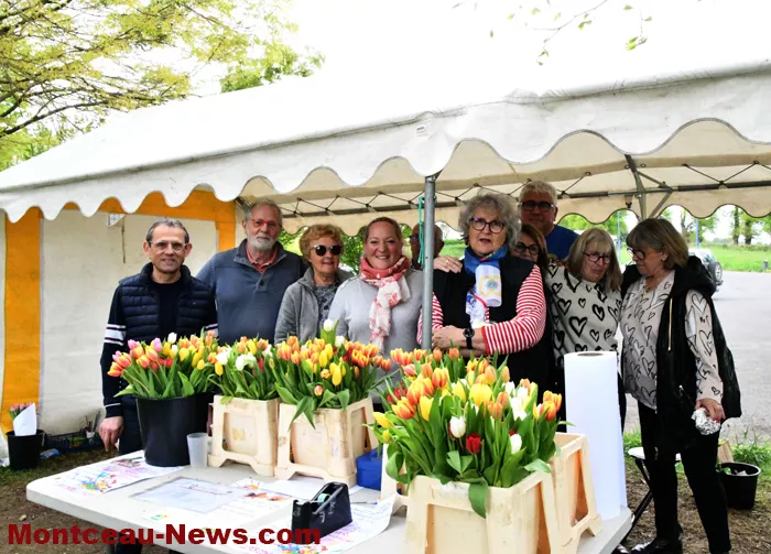tulipes-lions-290425161030