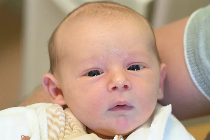 bebe-charles-2505254