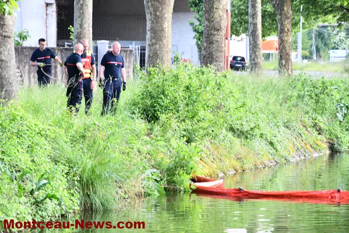 canal-pollution-280525161033