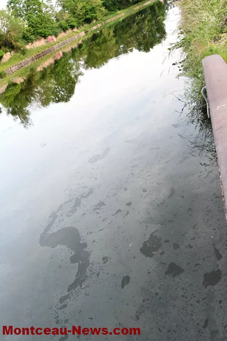 canal-pollution-280525161038