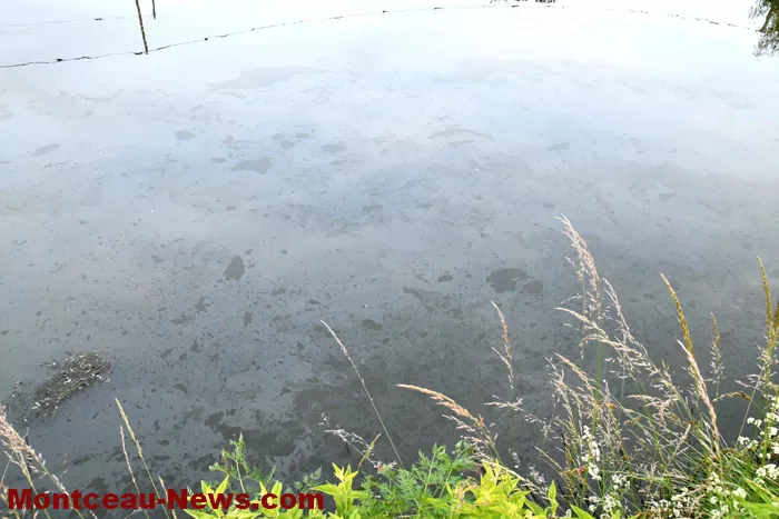 canal-pollution-280525161039