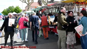 election-marche-110525161032