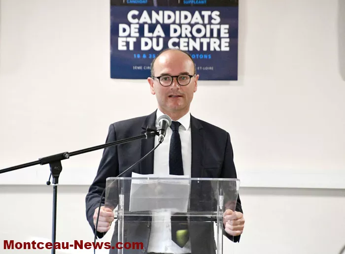 election-martin-duparay-150525161030