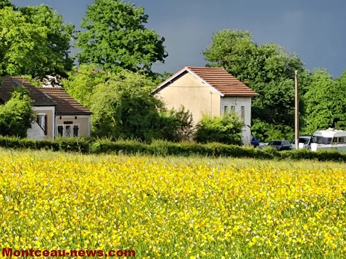 meurtre-bizots-120525161025