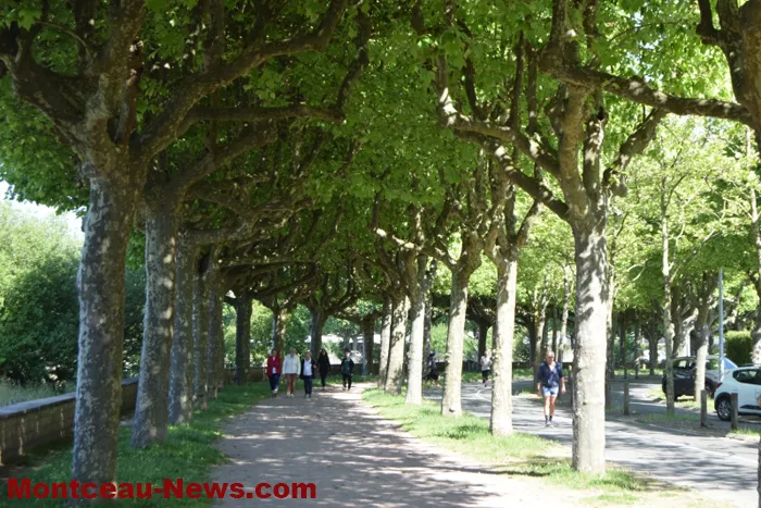 parcours-coeur-180525161061
