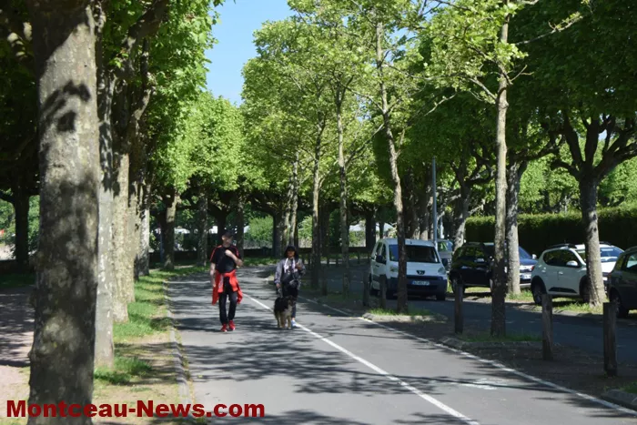 parcours-coeur-180525161065
