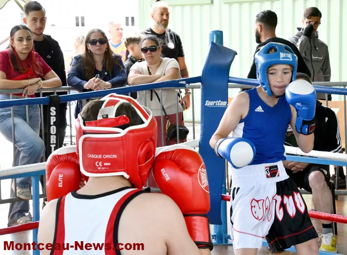 pouilloux-box-110525161030