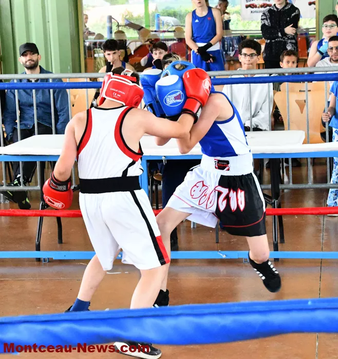 pouilloux-box-110525161033