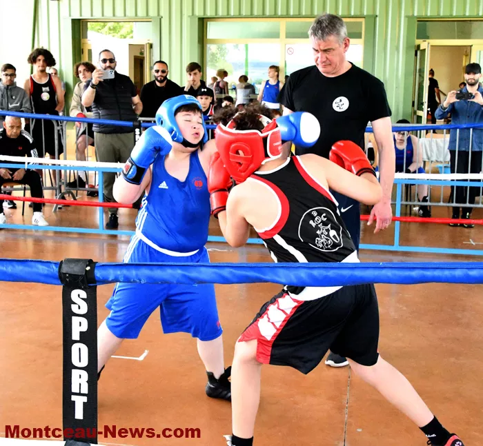 pouilloux-box-110525161039