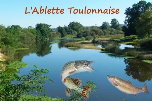 L’Ablette Toulonnaise