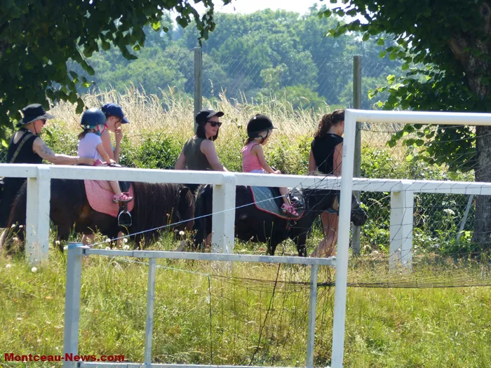 courses-tondeuse-genelard-220625161086