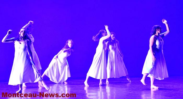 gala-danse-100625161038
