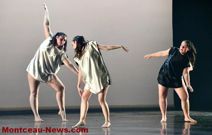 gala-danse-100625161043