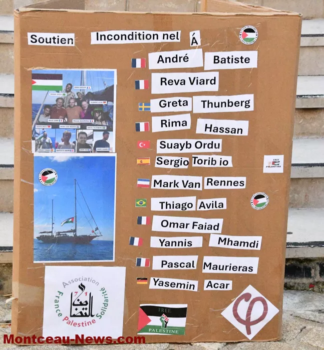 manif-palestine-100625161024