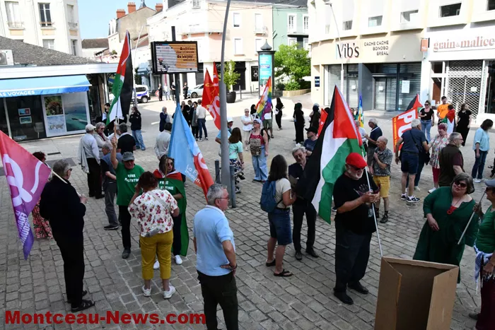 manif-palestine-100625161026