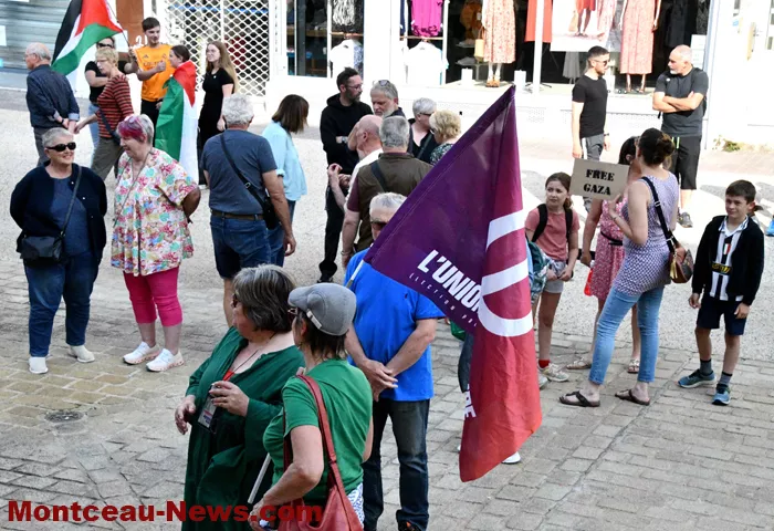 manif-palestine-100625161027