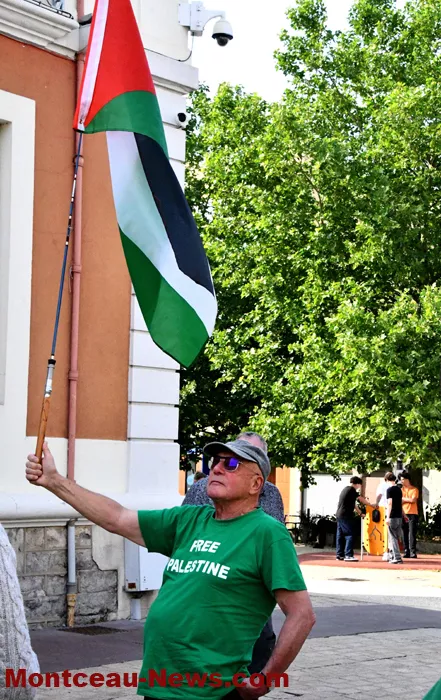 manif-palestine-100625161029
