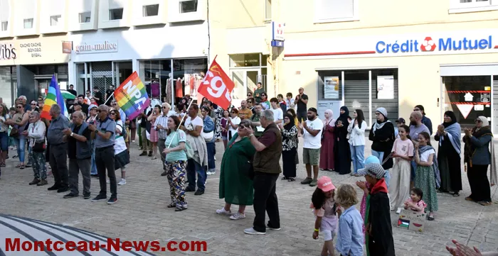 manif-palestine-100625161034