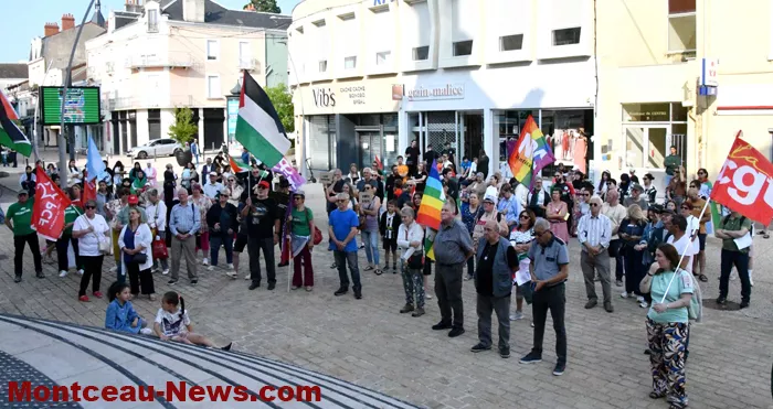 manif-palestine-100625161035
