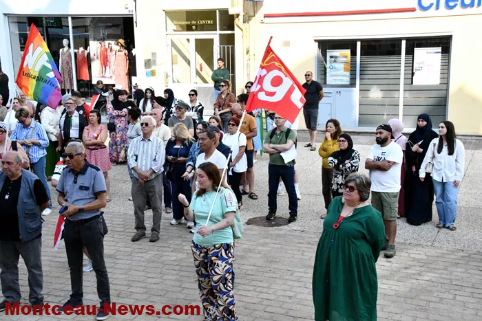 manif-palestine-100625161036