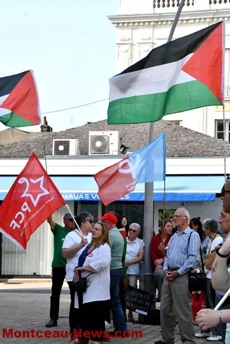 manif-palestine-100625161038