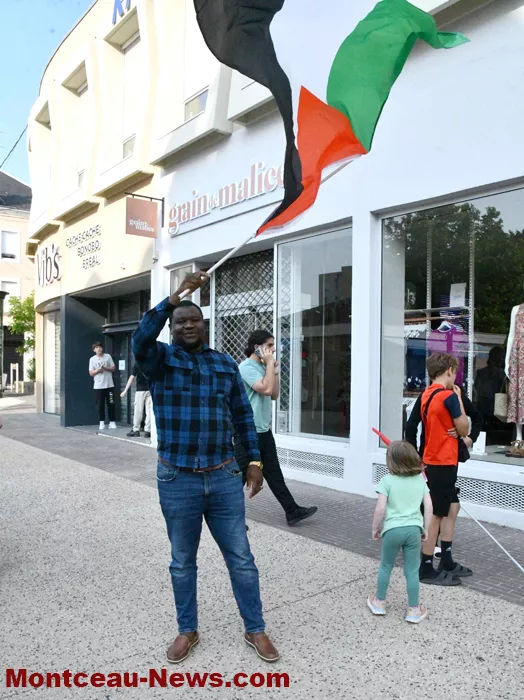 manif-palestine-100625161041