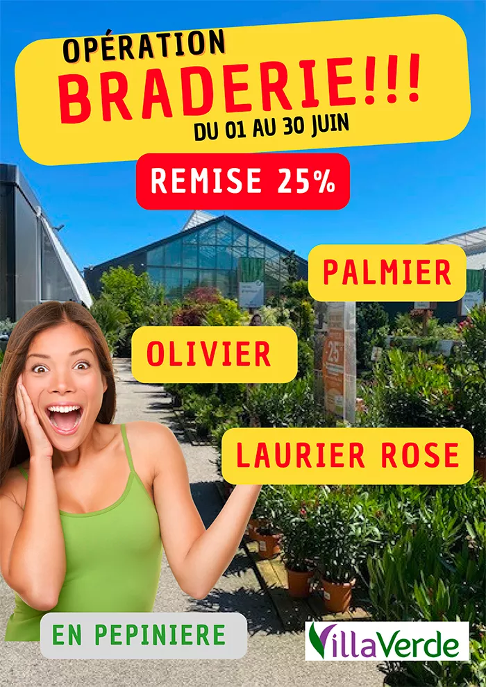 villa-3105256