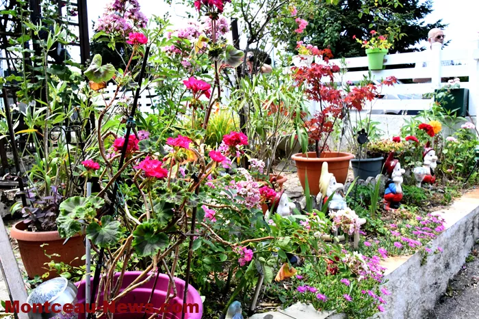 maisons-fleuris-040725161033