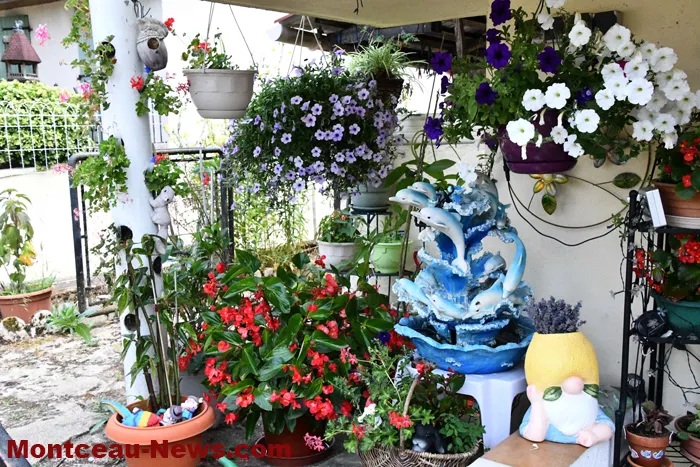 maisons-fleuris-040725161034