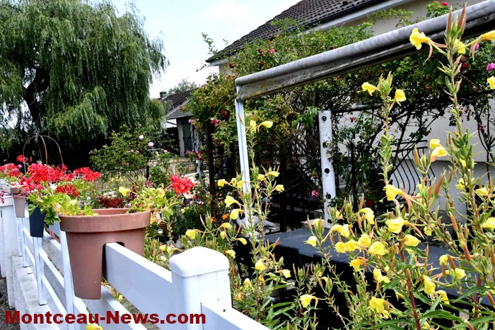 maisons-fleuris-040725161035