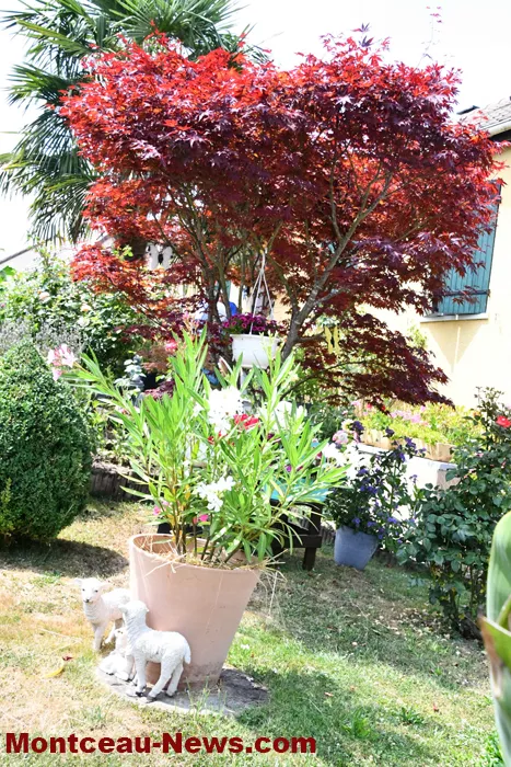 montceau-fleuris-040725161025