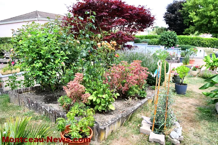 montceau-fleuris-040725161029