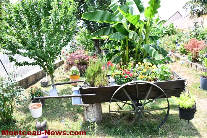 montceau-fleuris-040725161030