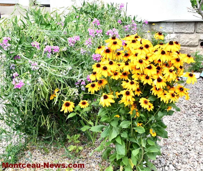 montceau-fleuris-040725161032