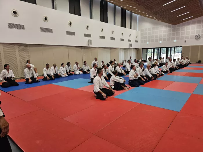 aikido-250525161025