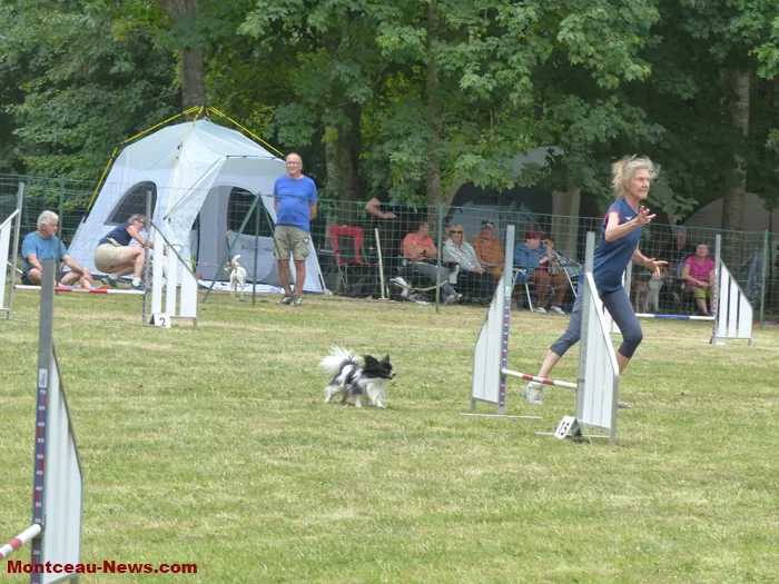 club-canin-sanvignes-030825161040