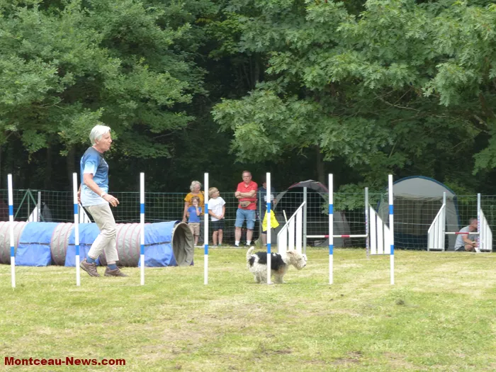club-canin-sanvignes-030825161045