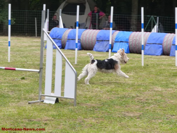 club-canin-sanvignes-030825161046