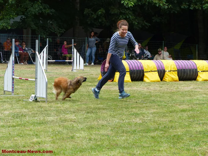 club-canin-sanvignes-030825161051