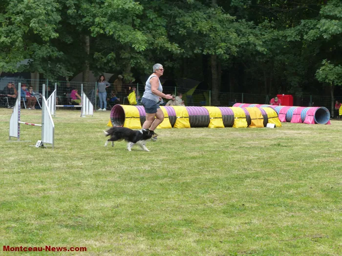 club-canin-sanvignes-030825161054
