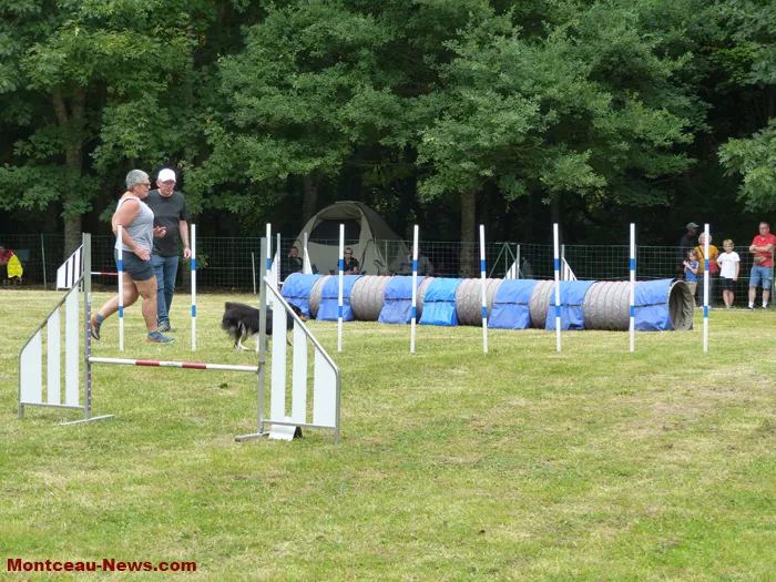 club-canin-sanvignes-030825161055