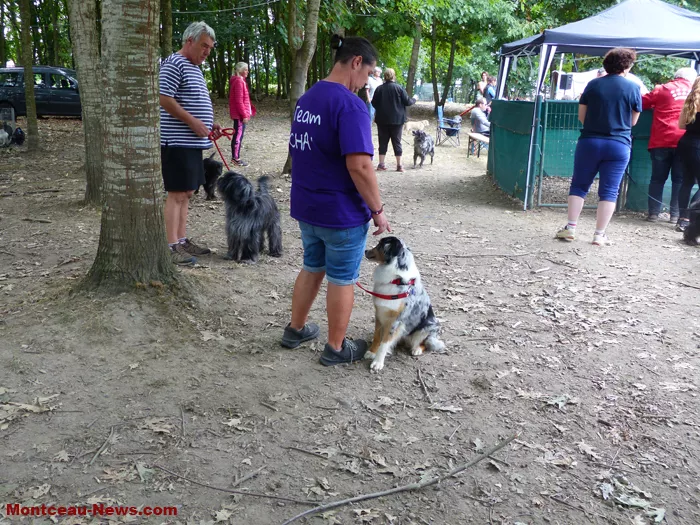 club-canin-sanvignes-030825161061