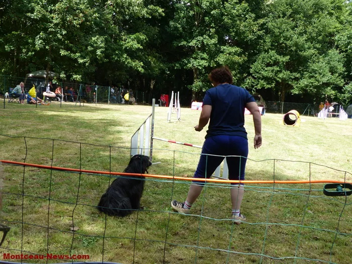 club-canin-sanvignes-030825161067