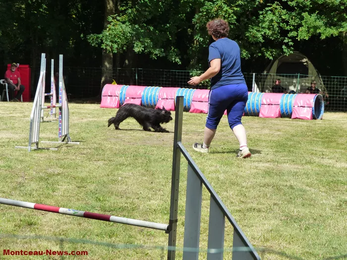 club-canin-sanvignes-030825161069